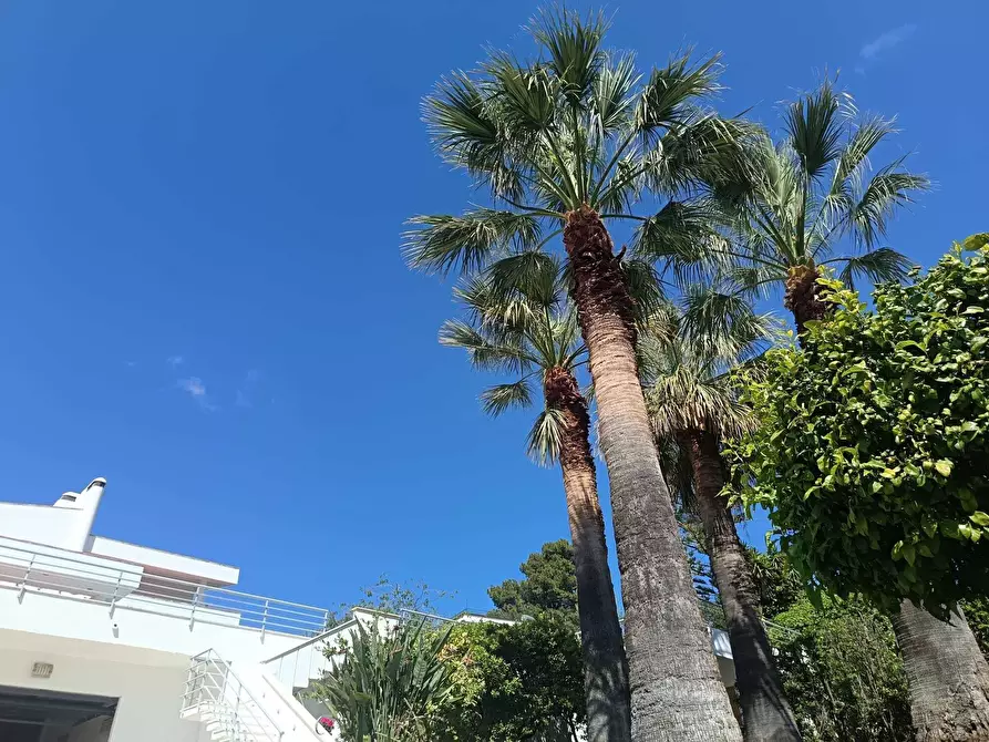 Immagine 68 di Villa in vendita  a Altavilla Milicia