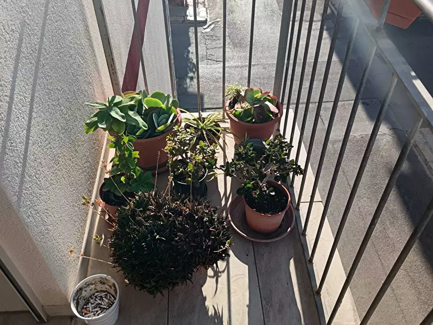 Immagine 45 di Appartamento in vendita  a Balestrate