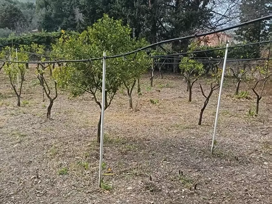 Immagine 29 di Villa in vendita  a Valderice