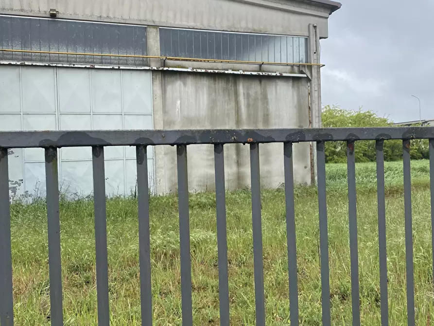 Immagine 24 di Capannone industriale in affitto  in VIA BRODOLINI 5 a Casalpusterlengo