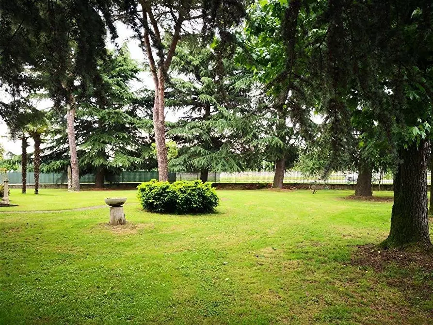 Immagine 8 di Capannone industriale in vendita  in VIA EINAUDI 2 a Codogno