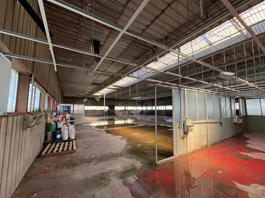 Immagine 6 di Capannone industriale in vendita  in Via Tortona 21 a Vigevano