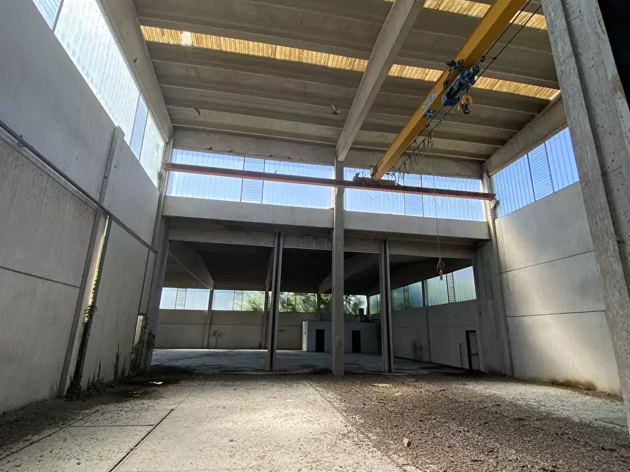 Immagine 8 di Capannone industriale in affitto  in VIA BRODOLINI 5 a Casalpusterlengo