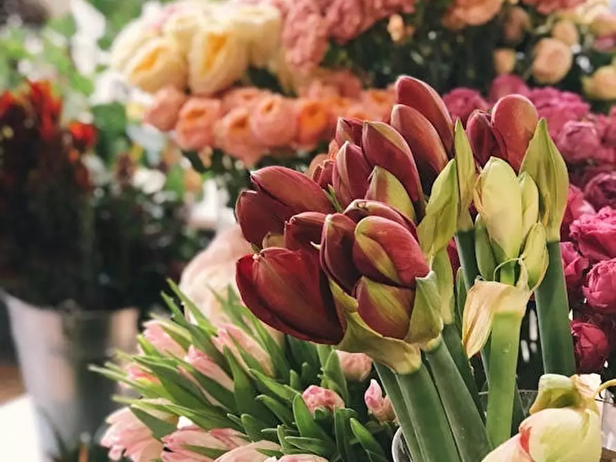 Immagine 1 di Attività commerciale in vendita  in Crespiatica via Dante Alighieri 25 a Crespiatica