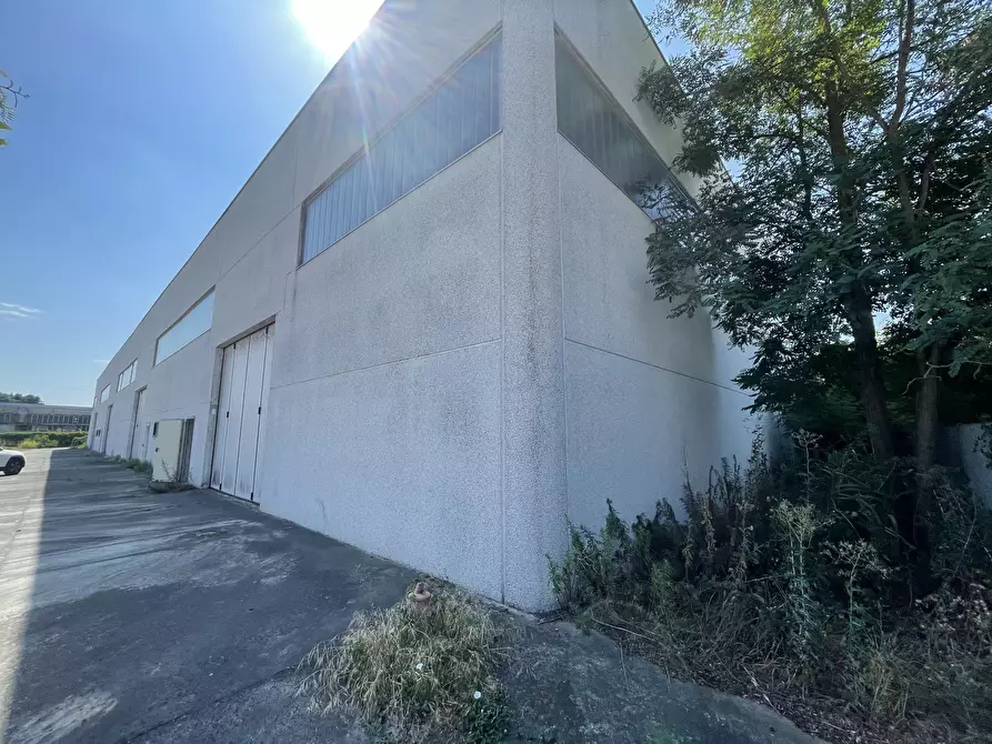 Immagine 10 di Magazzino in vendita  in Via delle Barazzine 9 a Pieve Porto Morone