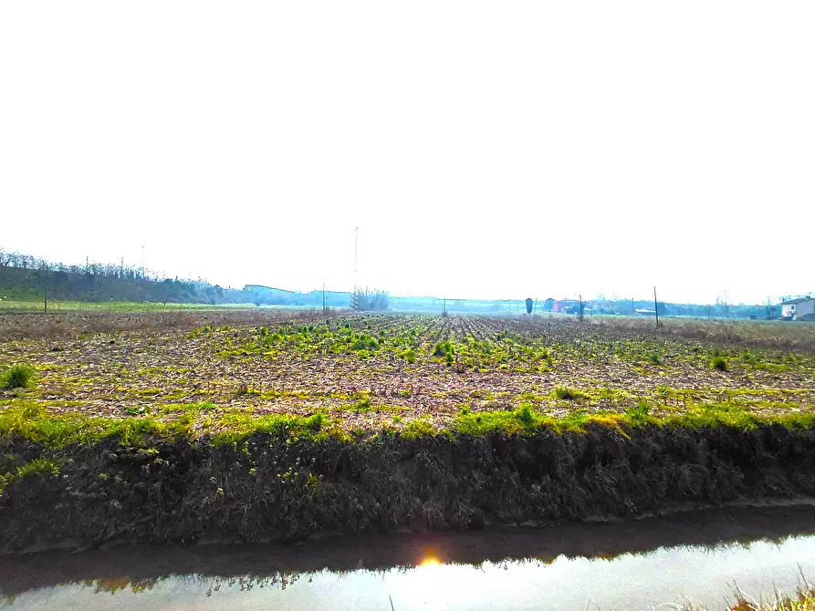 Immagine 1 di Terreno agricolo in vendita  a Boara Pisani