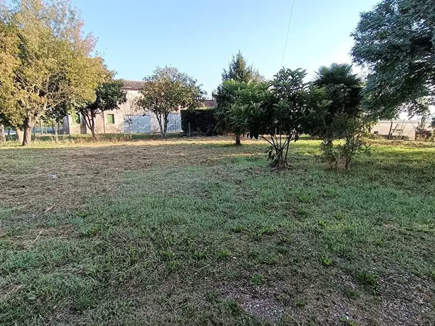 Immagine 3 di Casa indipendente in vendita  a Crespino