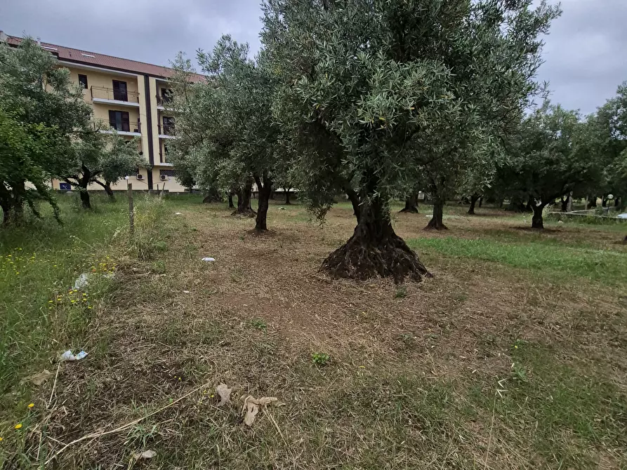 Immagine 2 di Terreno edificabile in vendita  in Via Ingegnere Giuseppe d'Audino 18 a Lamezia Terme