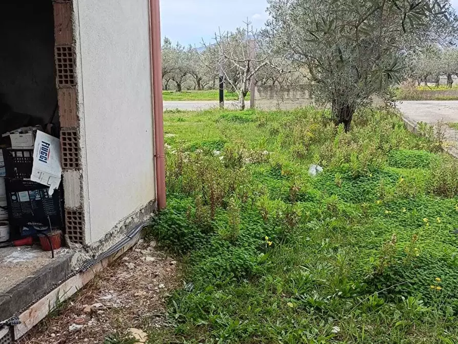Immagine 9 di Villa in vendita  in Località Scalo Ferroviario a Feroleto Antico