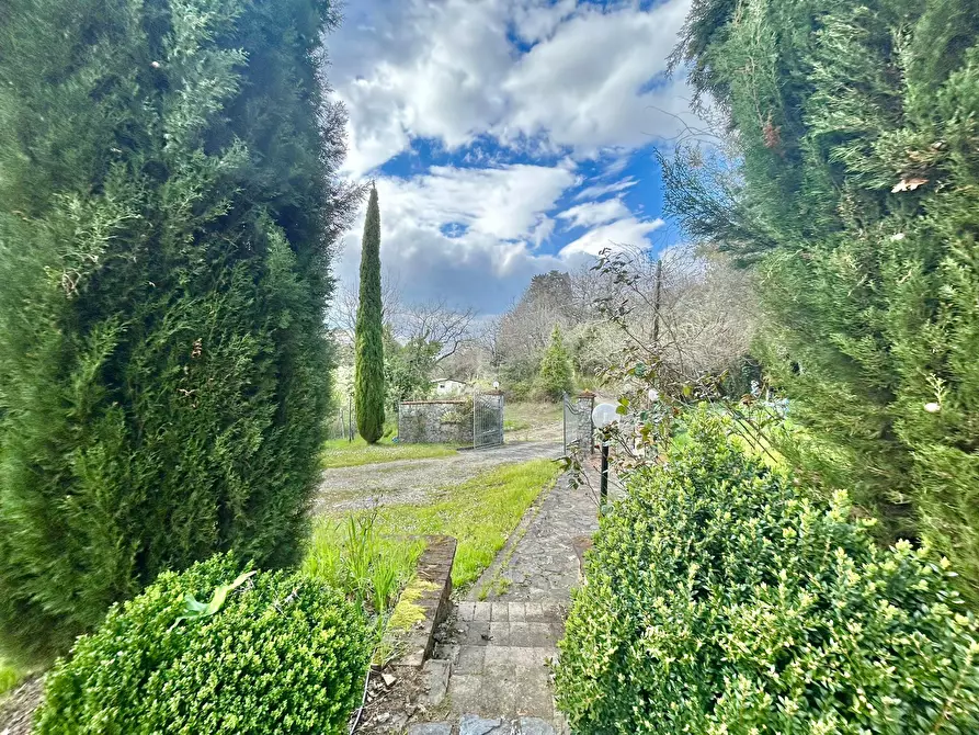 Immagine 6 di Casa indipendente in vendita  a Sarzana
