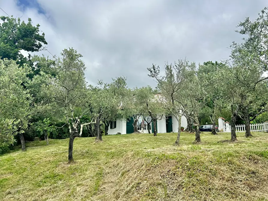 Immagine 21 di Casa indipendente in vendita  a Castelnuovo Magra