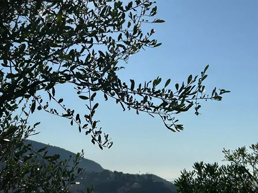 Immagine 7 di Terreno agricolo in vendita  in Via Giuseppe Garibaldi 51 a Lerici