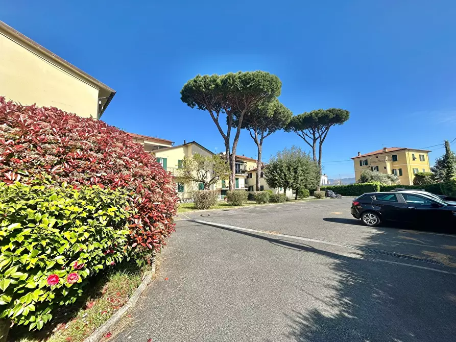 Immagine 5 di Quadrilocale in vendita  a Ameglia