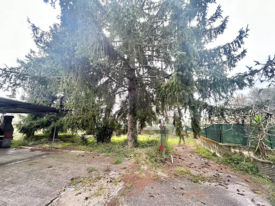 Immagine 13 di Casa bifamiliare in vendita  a Sarzana