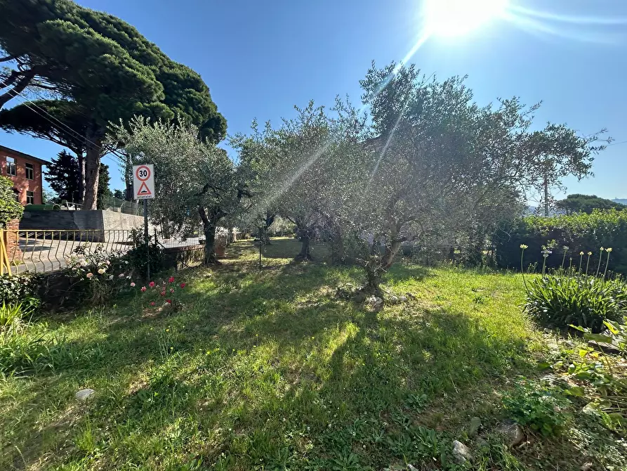 Immagine 26 di Casa indipendente in vendita  a Sarzana