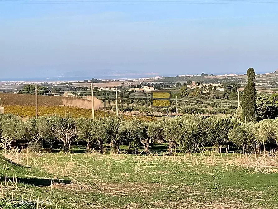 Immagine 2 di Terreno agricolo in vendita  a Valderice