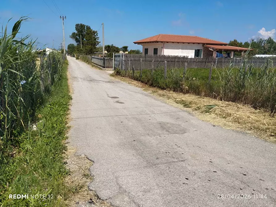 Immagine 7 di Terreno agricolo in vendita  in via bernardo tanucci a Eboli