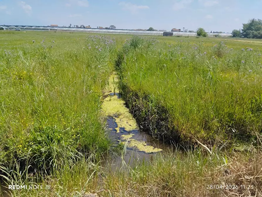 Immagine 3 di Terreno agricolo in vendita  in via bernardo tanucci a Eboli