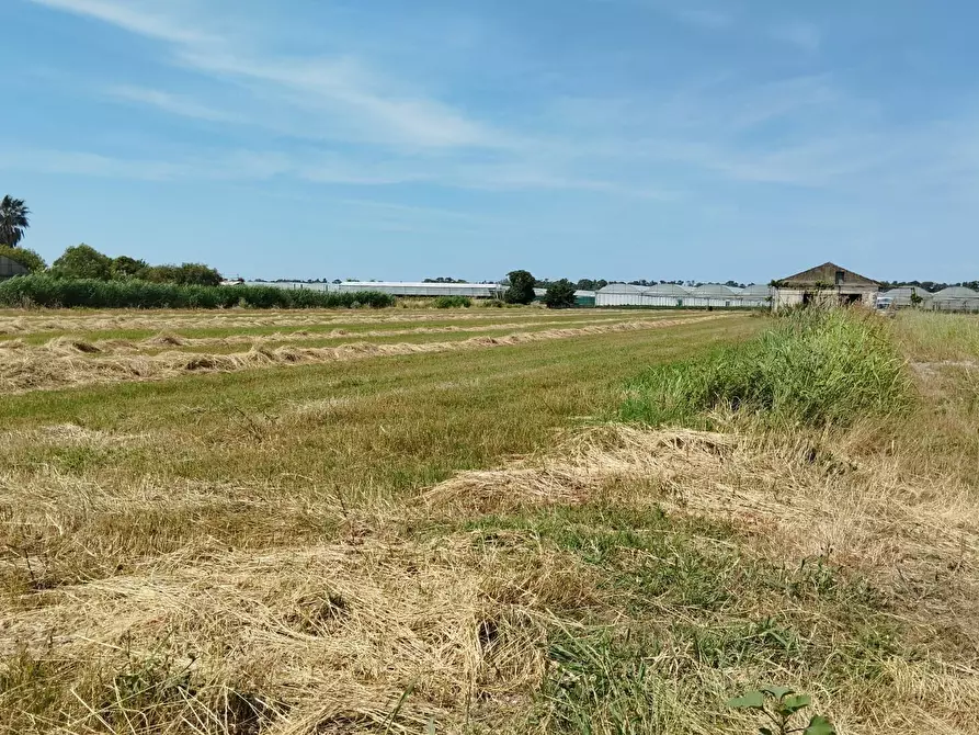 Immagine 17 di Terreno agricolo in vendita  in via bernardo tanucci a Eboli