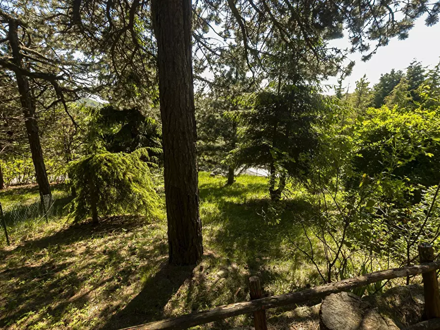 Immagine 43 di Porzione di casa in vendita  a Ceranesi