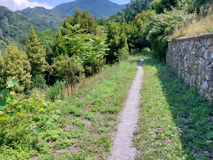 Immagine 32 di Bilocale in vendita  in Via Cremeno 10 a Genova
