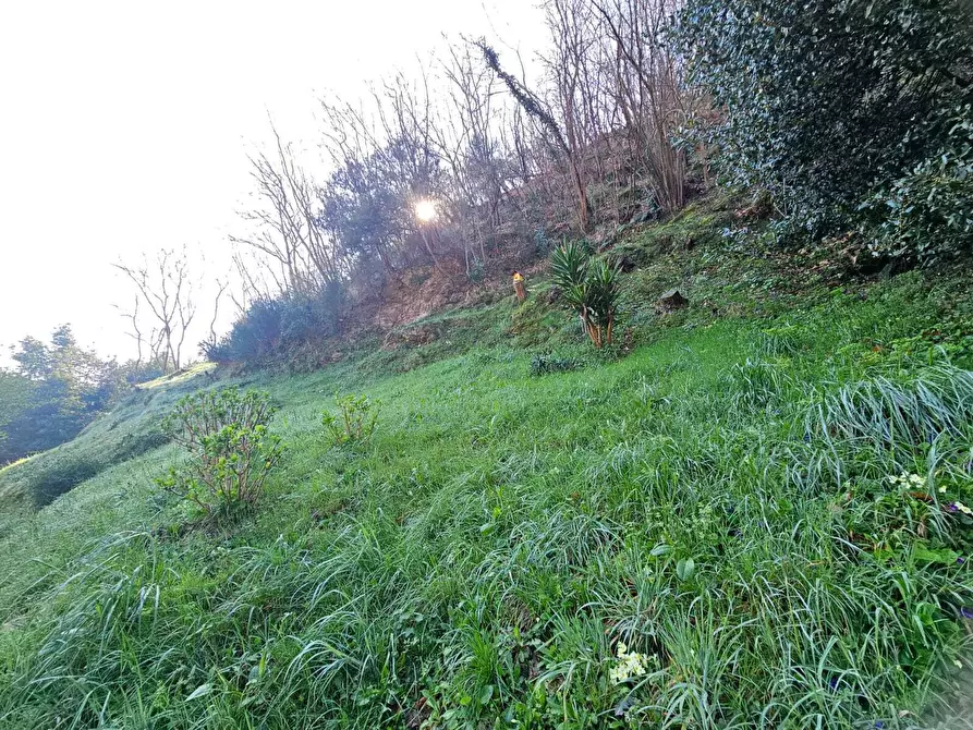 Immagine 33 di Terratetto in vendita  in Via Bartolomeo Parodi 215 a Ceranesi