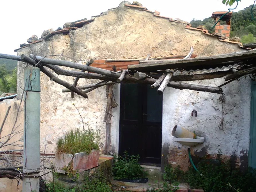 Immagine 11 di Rustico / casale in vendita  a Monte Argentario