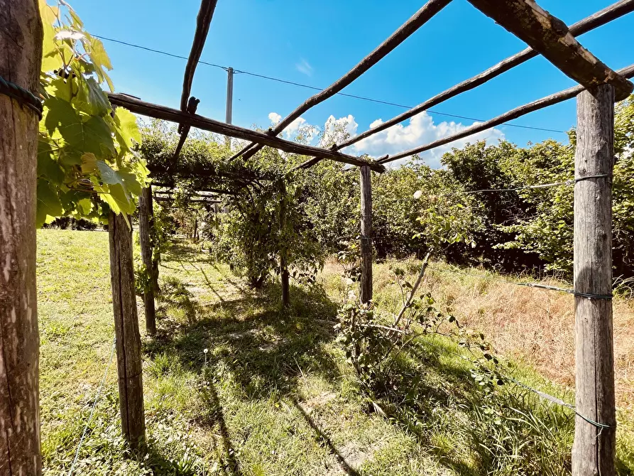 Immagine 11 di Rustico / casale in vendita  in Borgata Sant'Antonio 34 a Somano