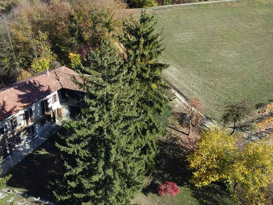 Immagine 20 di Rustico / casale in vendita  in Località Panate 18 a Farigliano