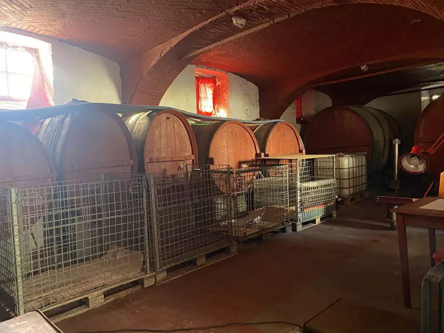 Immagine 31 di Villa in vendita  in Via Madonna della Neve 66 a Clavesana