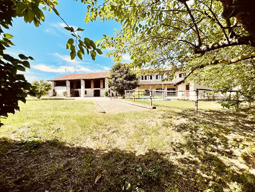 Immagine 3 di Rustico / casale in vendita  in Borgata Piancerreto Sottano 8 a Dogliani