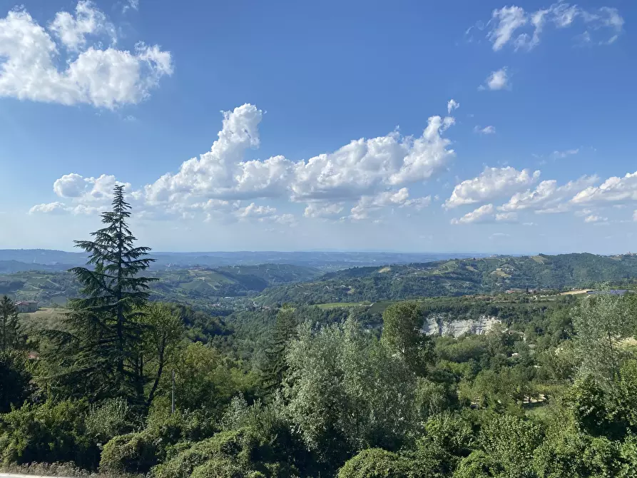 Immagine 9 di Villa in vendita  in Località Cerreta 1 a Roddino