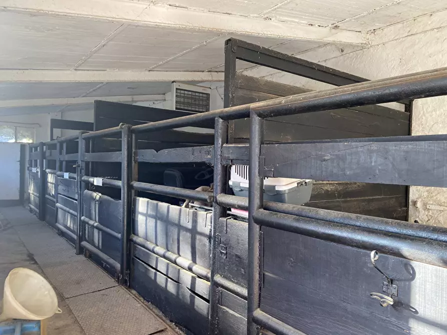 Immagine 30 di Villa in vendita  in Via Madonna della Neve 66 a Clavesana