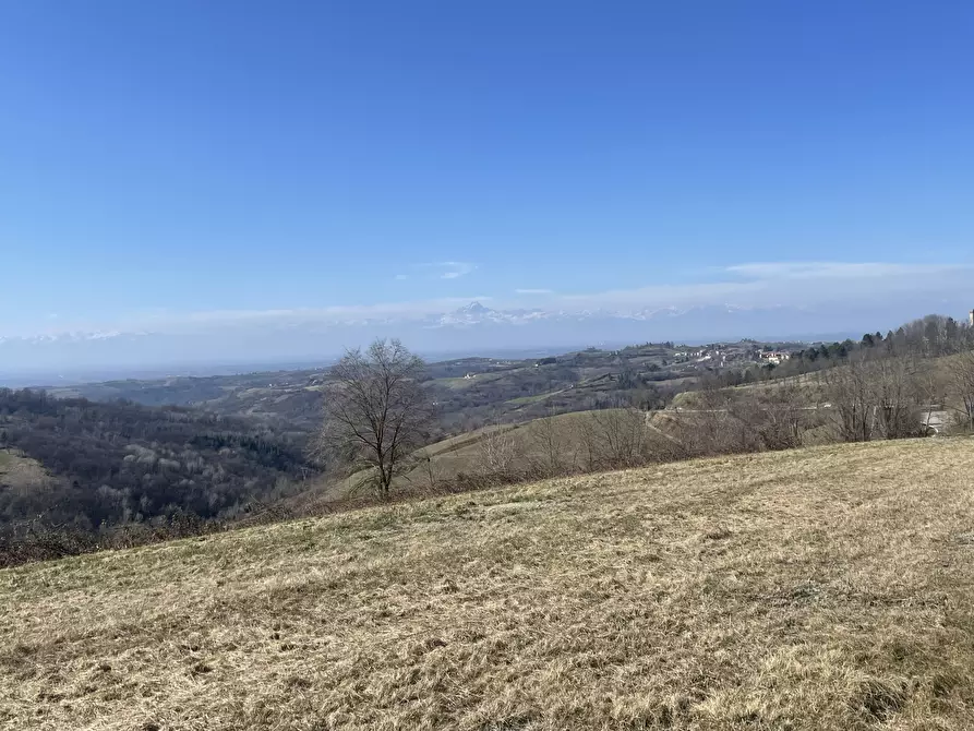 Immagine 5 di Terreno edificabile in vendita  in località Crovera a Murazzano
