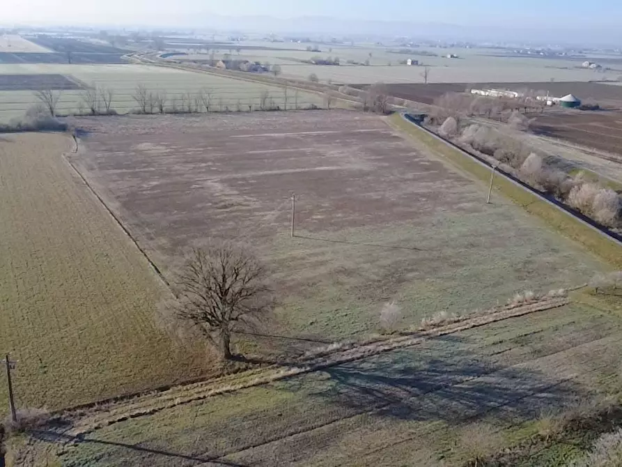 Immagine 5 di Terreno agricolo in vendita  in Strada Colmignola 2 a San Secondo Parmense