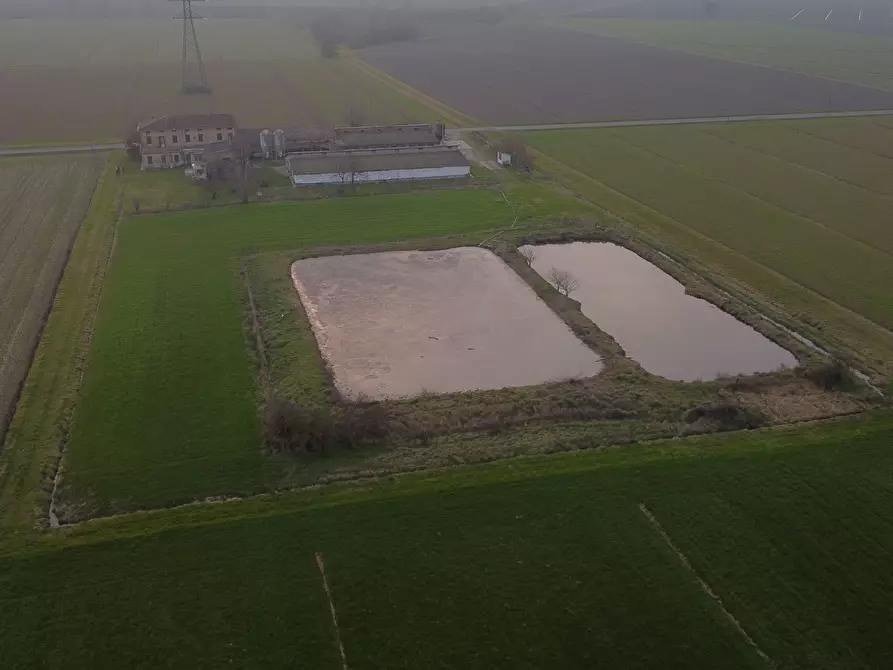 Immagine 7 di Azienda agricola in vendita  in Via al Serraglio 35 a Colorno