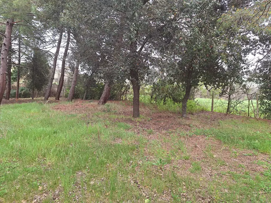 Immagine 6 di Rustico / casale in vendita  a Corinaldo
