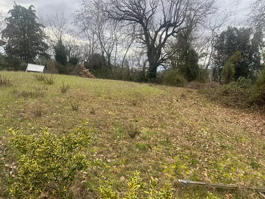 Immagine 2 di Terreno industriale in vendita  a Trecastelli