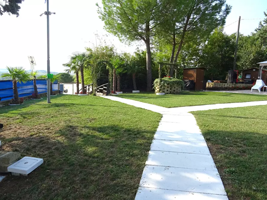 Immagine 3 di Rustico / casale in vendita  a Ostra Vetere