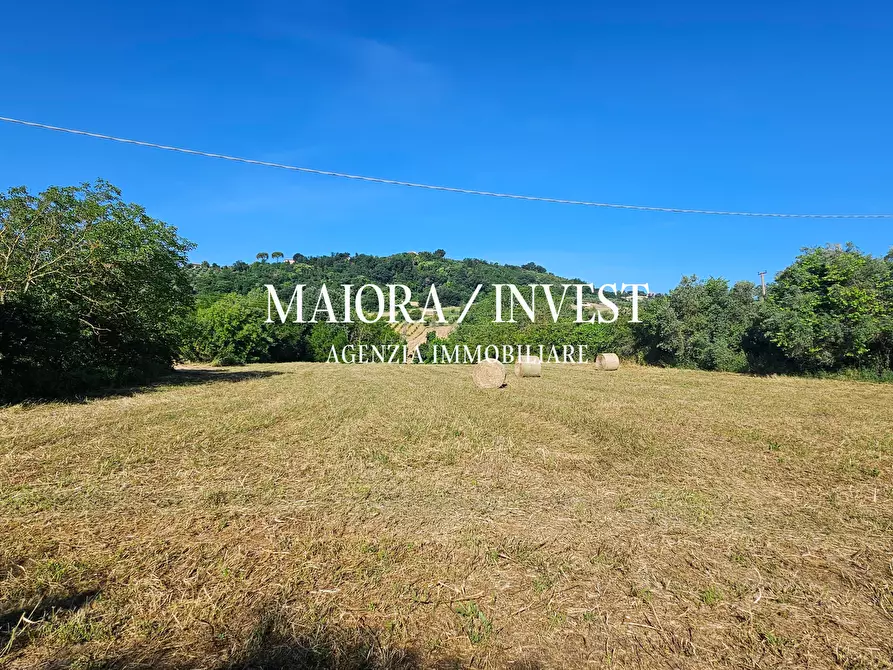 Immagine 12 di Rustico / casale in vendita  in Contrada Pianelle a Monsampolo Del Tronto