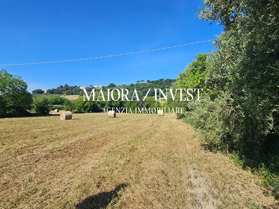 Immagine 11 di Rustico / casale in vendita  in Contrada Pianelle a Monsampolo Del Tronto