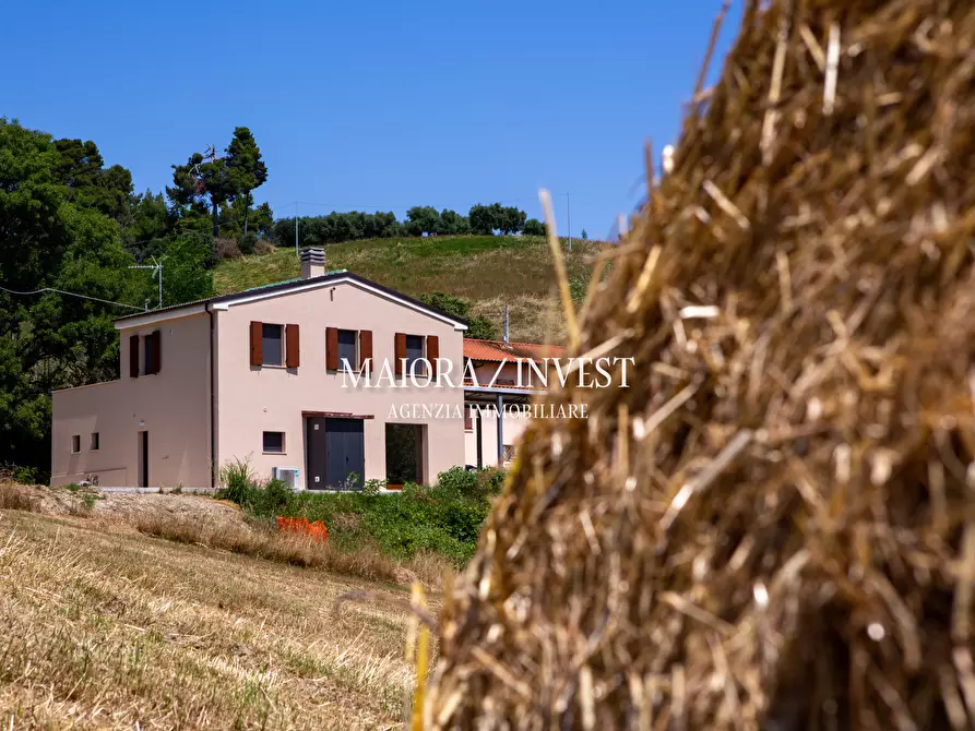 Immagine 21 di Rustico / casale in vendita  in Contrada Ciafone a Offida