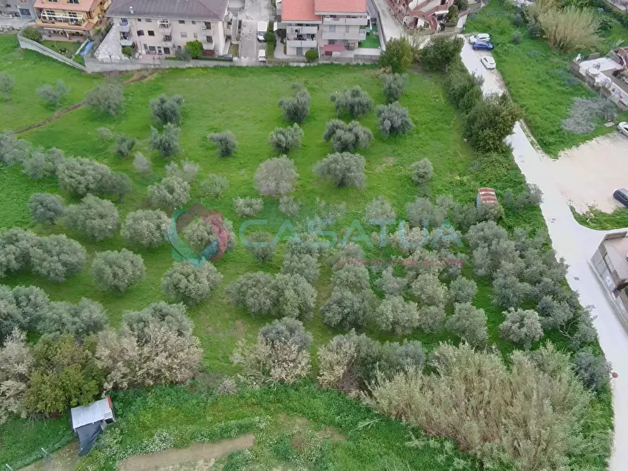 Immagine 5 di Terreno agricolo in vendita  in Contrada Santo Stefano 80 a Silvi