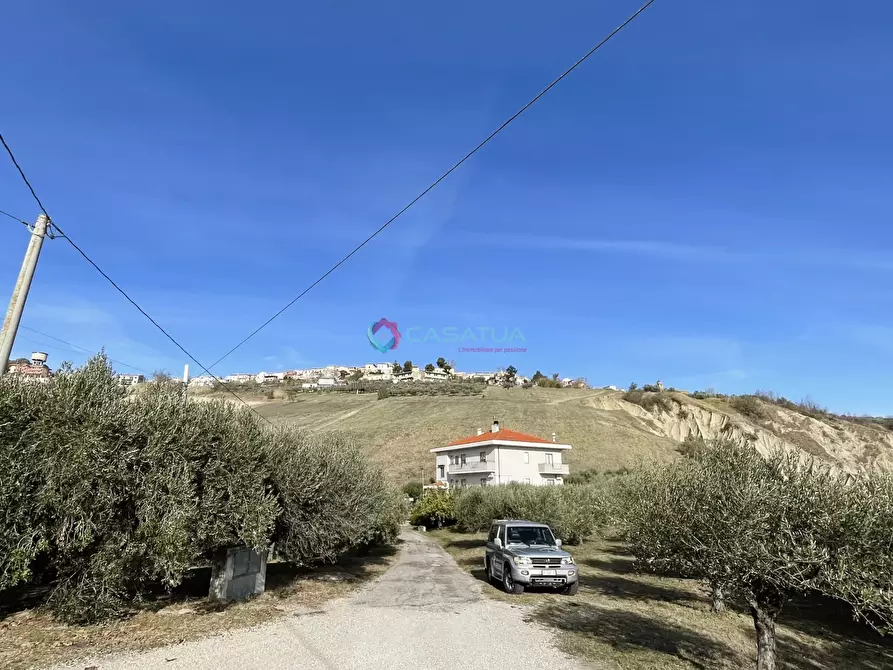 Immagine 48 di Terratetto in vendita  a Pineto