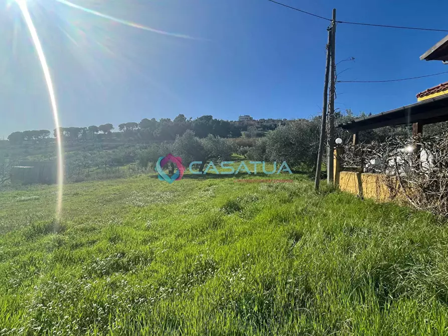 Immagine 26 di Terreno agricolo in vendita  a Silvi