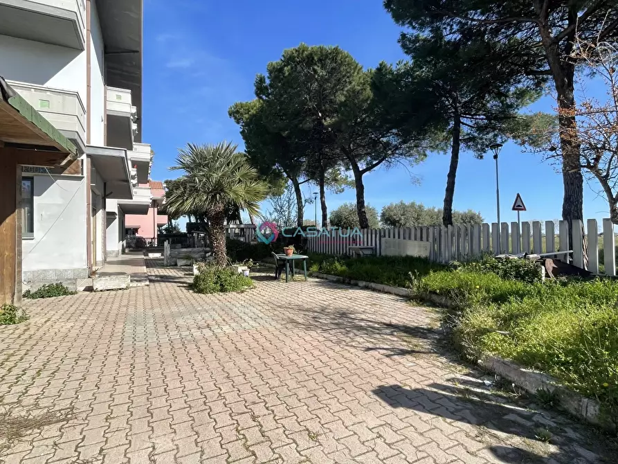 Immagine 28 di Locale commerciale in vendita  a Pineto