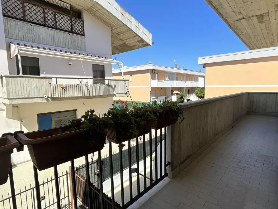 Immagine 9 di Quadrilocale in vendita  a Silvi