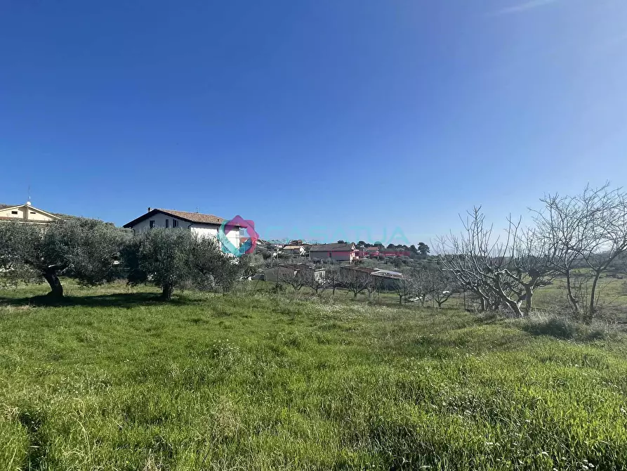 Immagine 7 di Terreno agricolo in vendita  a Silvi