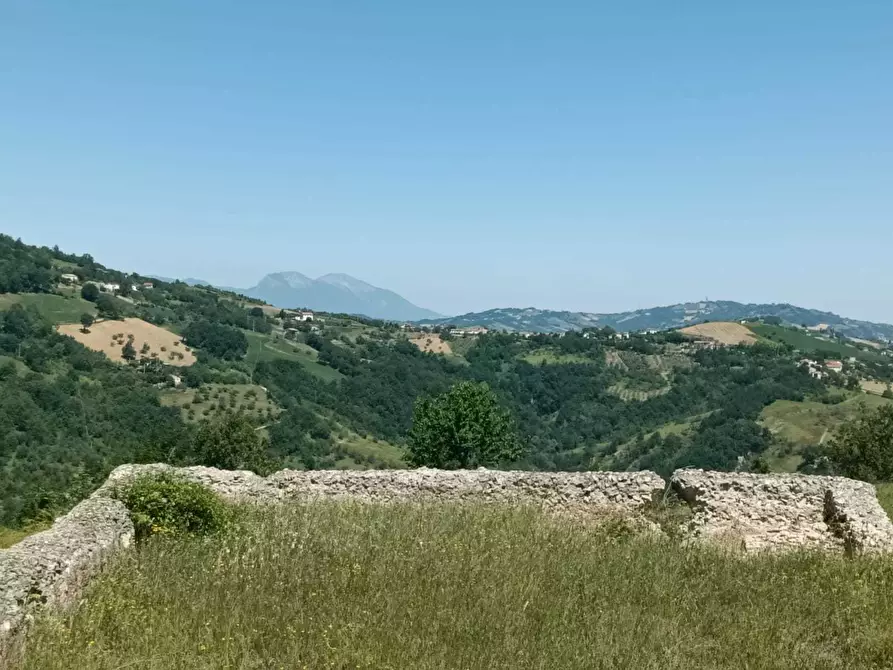 Immagine 13 di Terreno agricolo in vendita  a Farindola