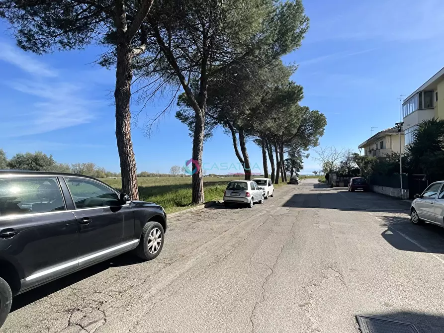 Immagine 31 di Locale commerciale in vendita  a Pineto